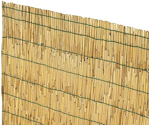 Arella in bamboo