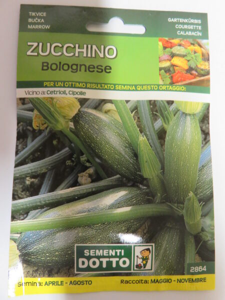 Zucchino Bolognese