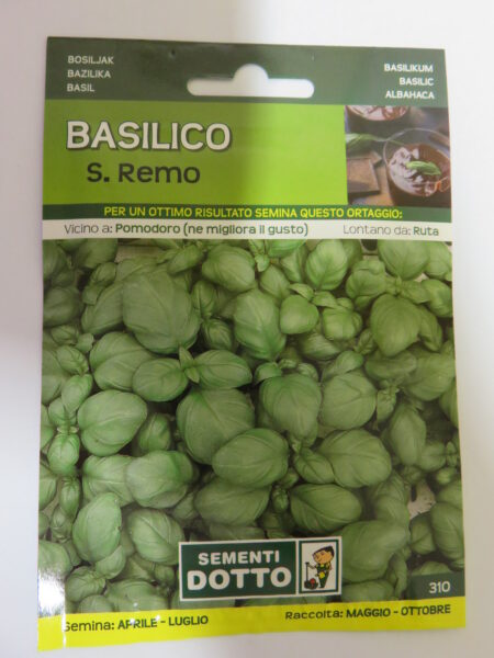 Basilico S. Remo