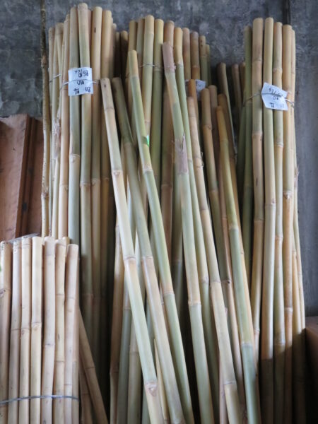 Tutori in bamboo