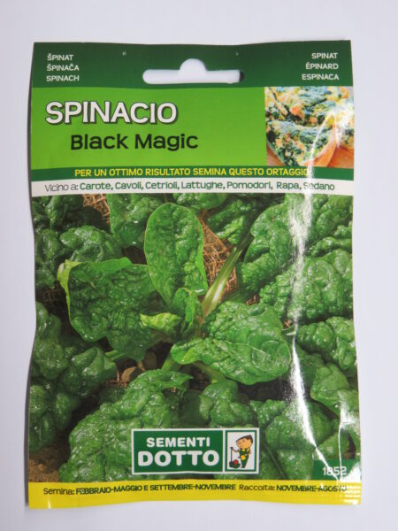 Spinacio Black Magic