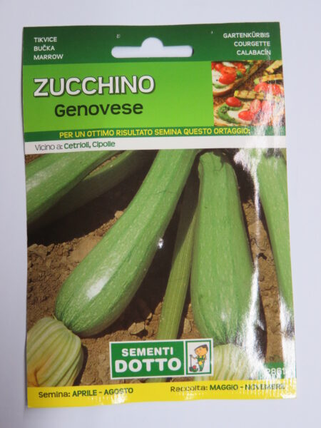 Zucchino Genovese