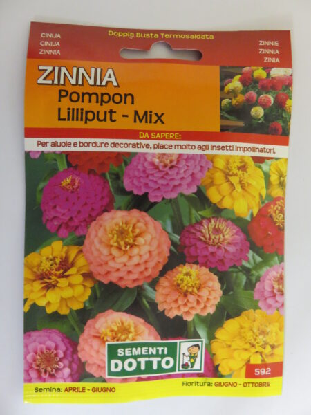 Zinnia pompon lilliput – mix