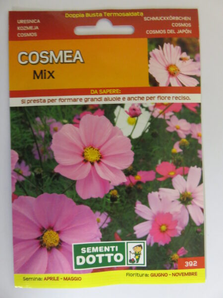 Cosmea – mix